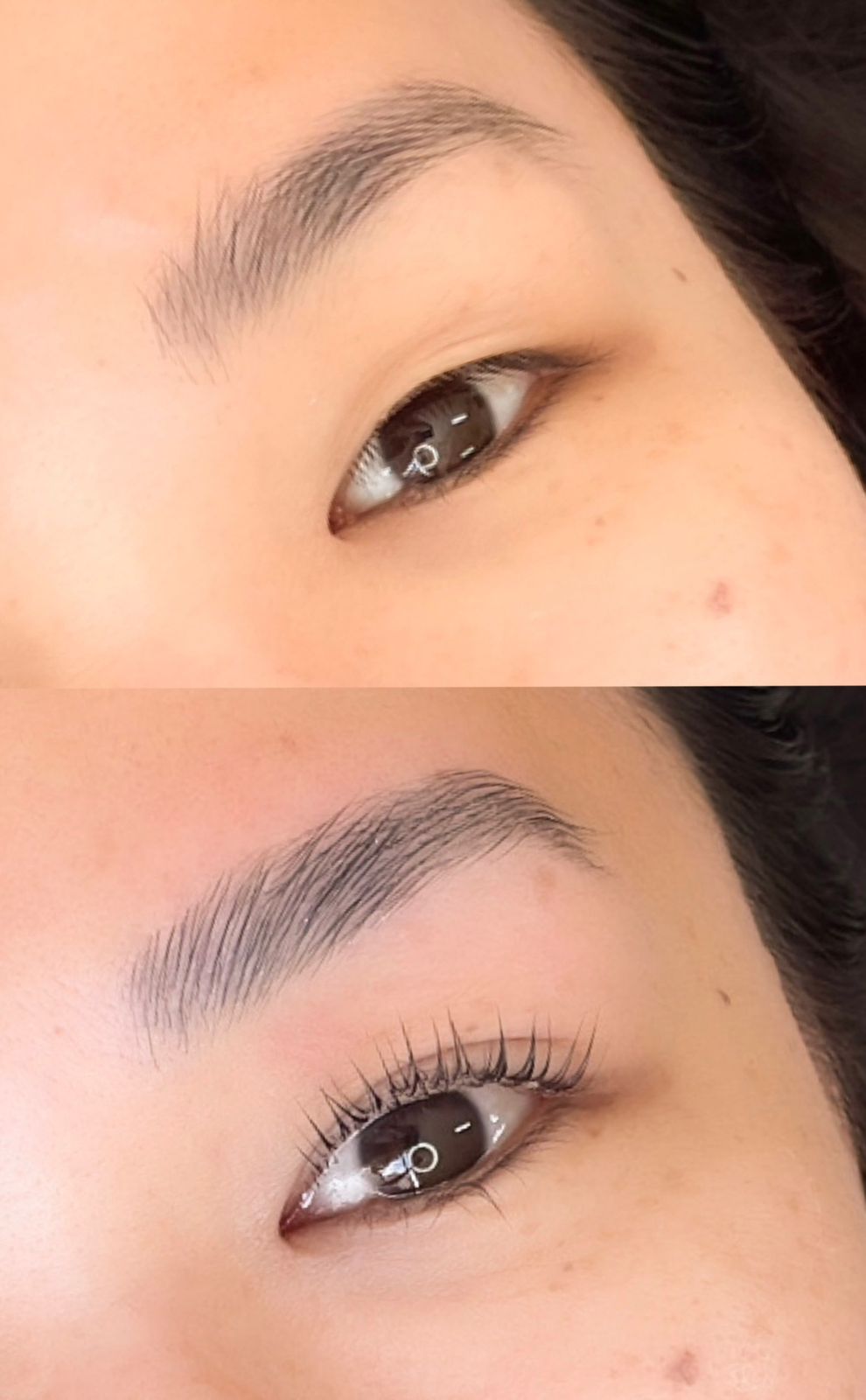 WhatsApp Image 2025-01-20 at 17.39.31